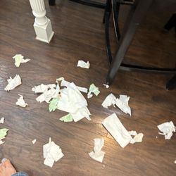 Paws & Claws Play Care - Torn up dog diapers. Torn up package of baby wipes.