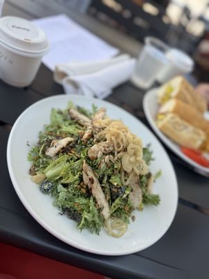 The Clover and the Bee by null