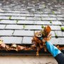 Photo of Perez Landscaping & Construction