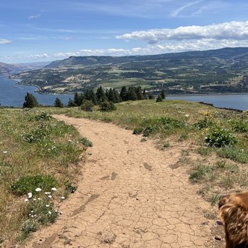 Coyote Wall Trailhead - View of the Columbia River Gorge - Hiking Near Me - White Salmon, Washington