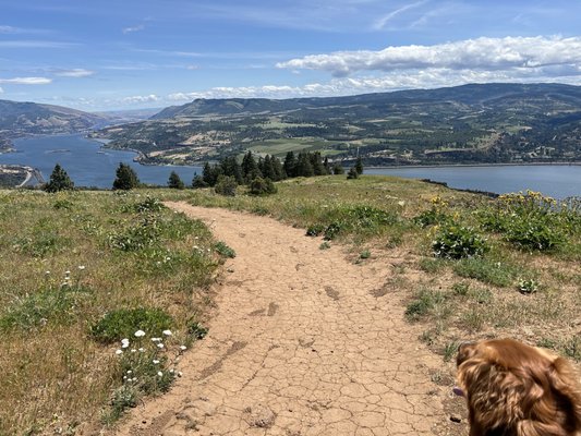 Coyote Wall Trailhead by null