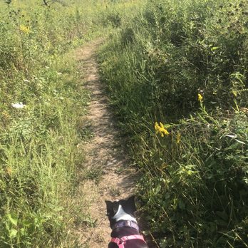 Hickory Hill Park - Prairie - Parks Near Me - Iowa City, Iowa Hickory Hill Park - Prairie - Parks Near Me - Iowa City, Iowa