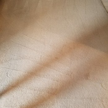 Accel Carpet Cleaning - Carpet Cleaning Near Me - Seattle, Washington