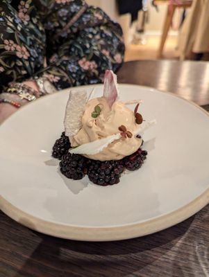 The Silver Birch by null