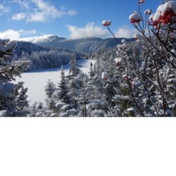New England Landmark Realty - Happy New Year from all of us at New England Landmark Realty