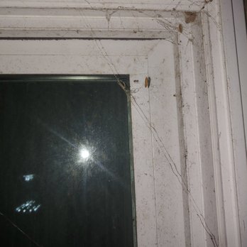 Aptive Pest Control - Pest Control Near Me - Annapolis Junction, Maryland