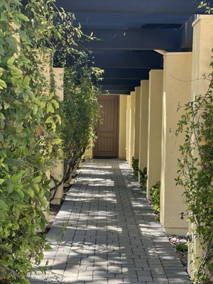 Las Positas Vineyards by null