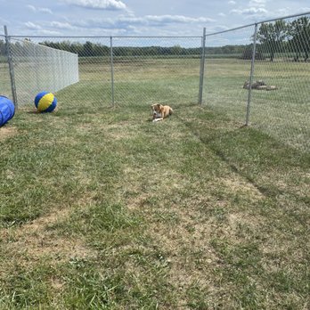 TGB Pet Services - Pet Boarding Near Me - Raymond, Ohio TGB Pet Services - Pet Boarding Near Me - Raymond, Ohio