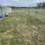 Photo of TGB Pet Services
