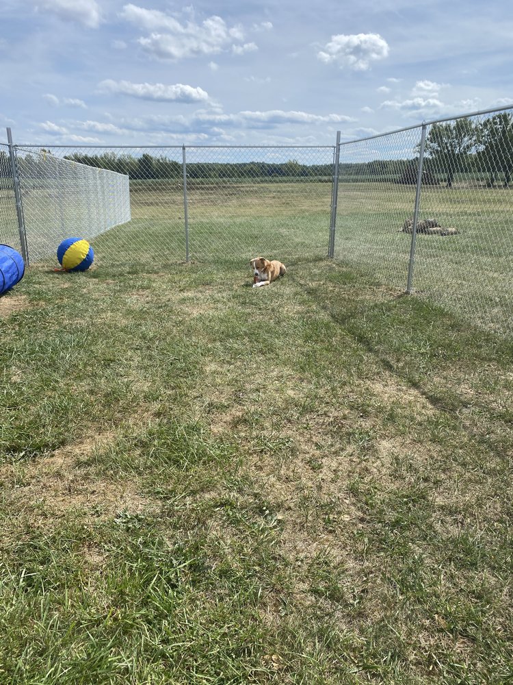 TGB Pet Services - pet boarding facility in Raymond, OH