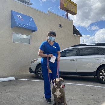 Big Tujunga Veterinary Hospital - Thanks America! Curbside vet service! - Veterinarians Near Me - Tujunga, California Big Tujunga Veterinary Hospital - Thanks America! Curbside vet service! - Veterinarians Near Me - Tujunga, California