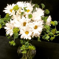 Flowers For Keeps - "Daisy Daze" by Bloomnation