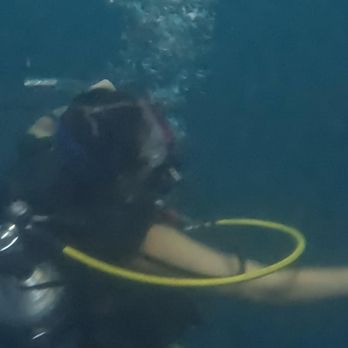 The Crater at Homestead - Hidden in the charming town of Midway, Utah, the Homestead Crater | Rees's Roots - Scuba Diving Near Me - Midway, Utah