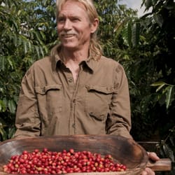Maui Estate Coffee