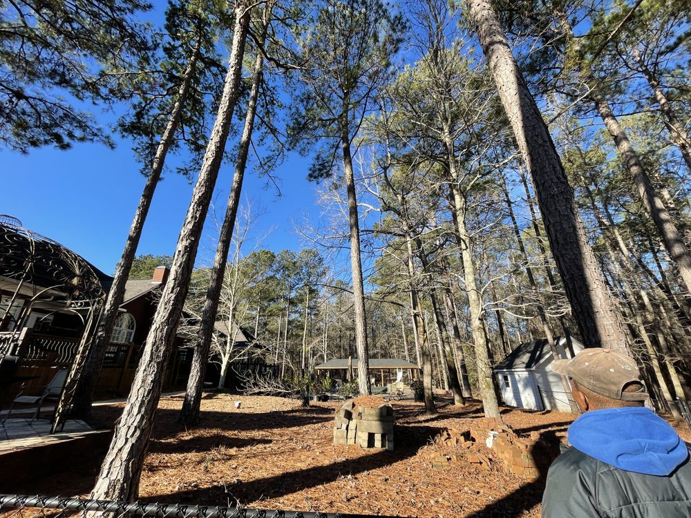 Slide of CHDO by Sunrise City