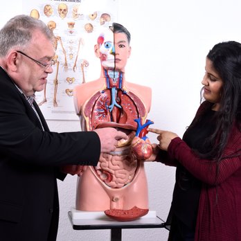 indisoft - Anatomie erklärt - Übung im Bereich Gesundheitswesen - Adult Education Near Me - Berlin, BE