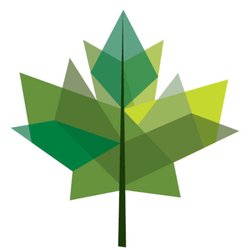 Green's Tree Experts