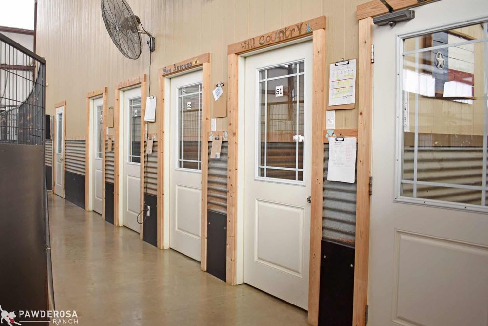 Pawderosa Ranch - pet boarding facility in Schertz, TX