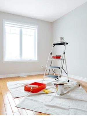 True 3 N 1 Painting And Garage Cleaning