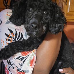 Pic of our Little Furball Pic of our Little Furball
