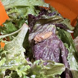 Salad and Go - A bug