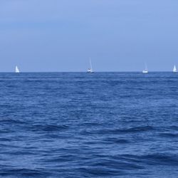 Med Sailing Holidays - Several boats around us under sail. We are motoring the whole time.