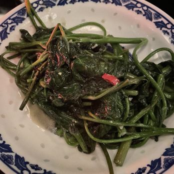 Tolo - water spinach - Wine Bars Near Me - New York, New York Tolo - water spinach - Wine Bars Near Me - New York, New York