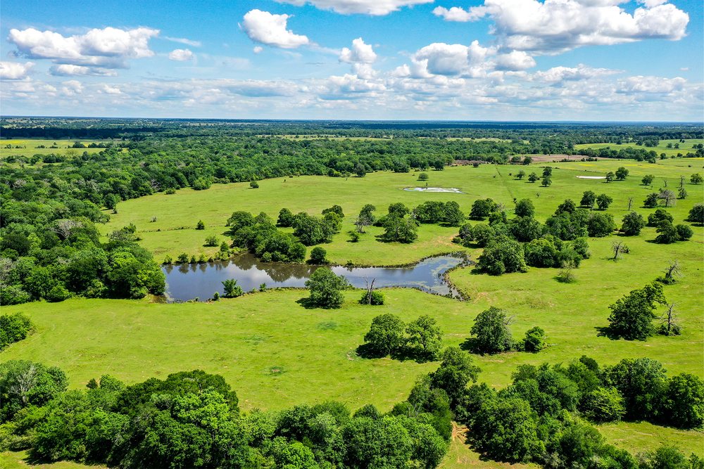 MARKHAM REALTY Updated September 2024 2715 11th St, Huntsville