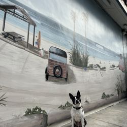 Surfin' Donuts - Mural in the back with more benches.