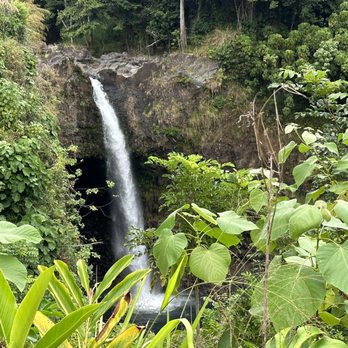Rainbow Falls - Parks Near Me - Hilo, Hawaii