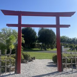 Wigert's Bonsai