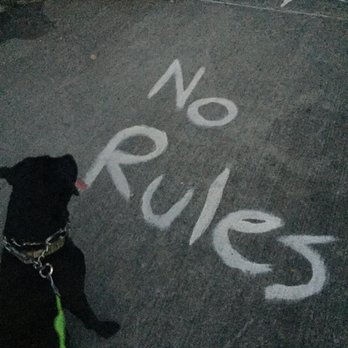 World's End - No Rules. - Parks Near Me - New Orleans, Louisiana