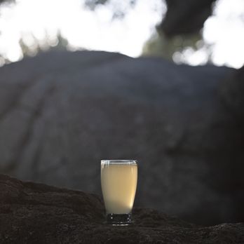 Calico Cidery - Tasting glass. - Cideries Near Me - Julian, California Calico Cidery - Tasting glass. - Cideries Near Me - Julian, California