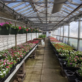 Osterbrock Florist - Florists Near Me - Cincinnati, Ohio Osterbrock Florist - Florists Near Me - Cincinnati, Ohio