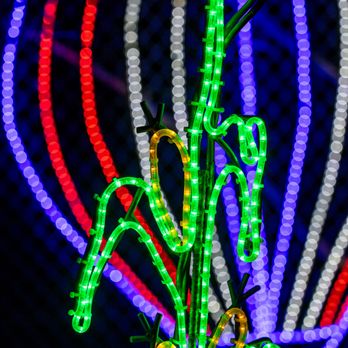 River Of Lights - River of Lights at ABQ BioPark & Botanic Garden - Albuquerque, NM - Festivals Near Me - Albuquerque, New Mexico