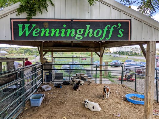 Wenninghoff's by null