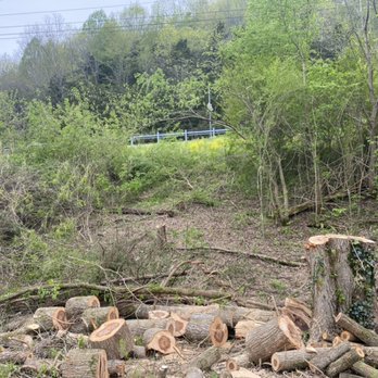 A&B Tree Service - Tree I removed and cut up - Tree Services Near Me A&B Tree Service - Tree I removed and cut up - Tree Services Near Me