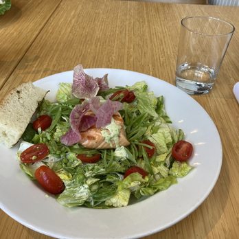 yum! Kitchen and Bakery - Salmon Goddess salad. YUM! - New American Near Me - St. Louis Park, Minnesota yum! Kitchen and Bakery - Salmon Goddess salad. YUM! - New American Near Me - St. Louis Park, Minnesota