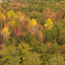 Drone Video and Photography