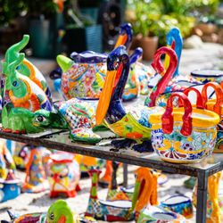 Living Color Garden Center