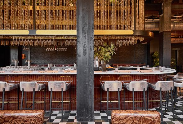 The Radical Asheville, Tapestry Collection by Hilton by null