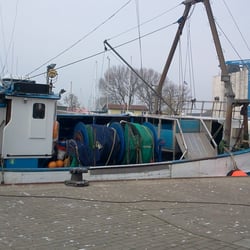 Fischergenossenschaft Fehmarn