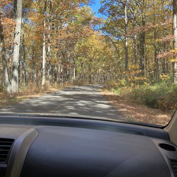 Allegheny National Forest - Parks Near Me
