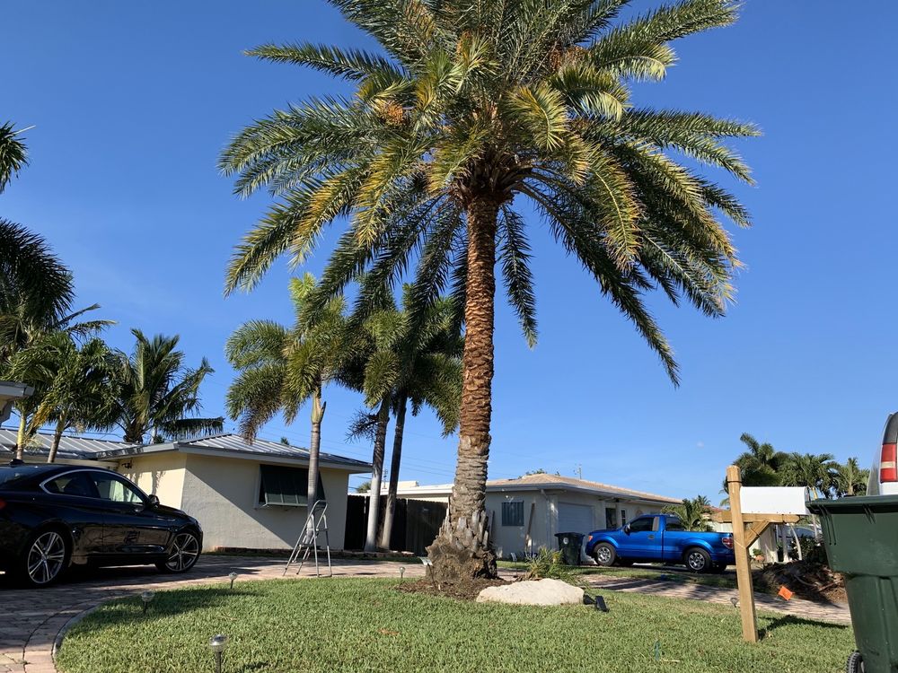 COCONUTS FOR COLLEGE 88 Photos & 22 Reviews Fort Lauderdale