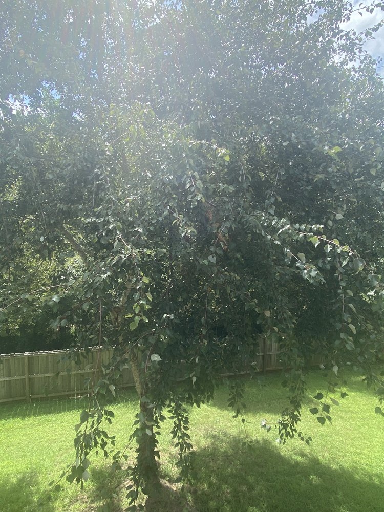 Slide of ImproveIT! of Atlanta