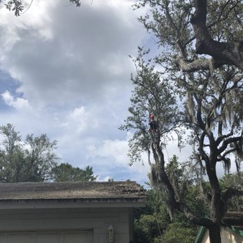 XD Land Service - Tree Services Near Me - Casselberry, Florida XD Land Service - Tree Services Near Me - Casselberry, Florida