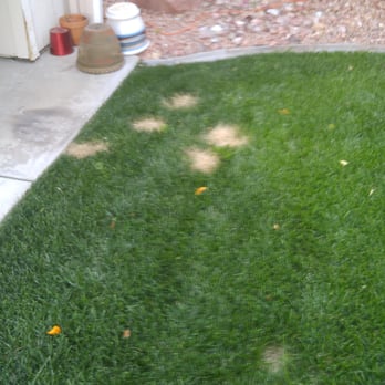 Southwest Lawn Shaping - a green lawn with a fire hydrant - Landscaping Near Me - Las Vegas, Nevada Southwest Lawn Shaping - a green lawn with a fire hydrant - Landscaping Near Me - Las Vegas, Nevada