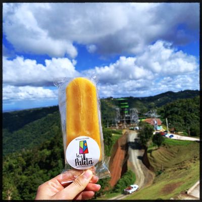 Toro Verde Adventure Park by null