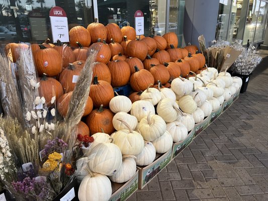 Whole Foods Market by null