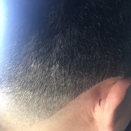 Ear cut Ear cut